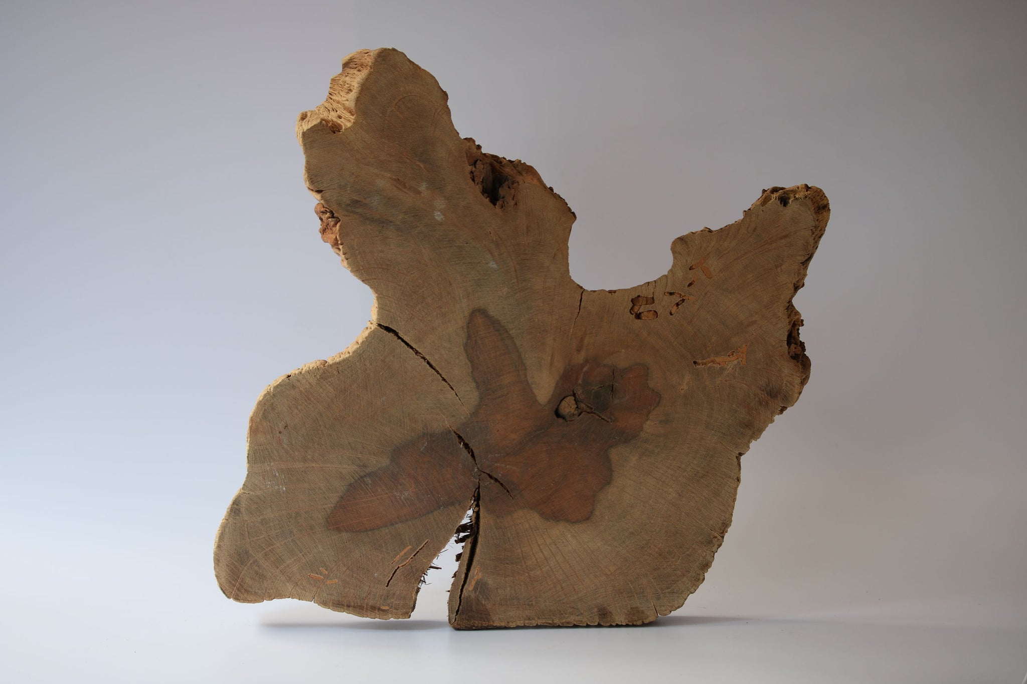 Madera Chica